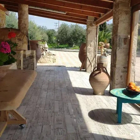 Stonehouse Olivelia - Afrathias *