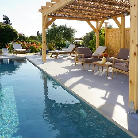 Appartement Stonehouse Olivelia - Afrathias
