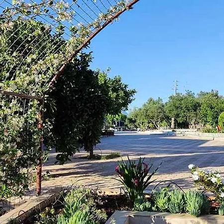 Stonehouse Olivelia - Afrathias דירה